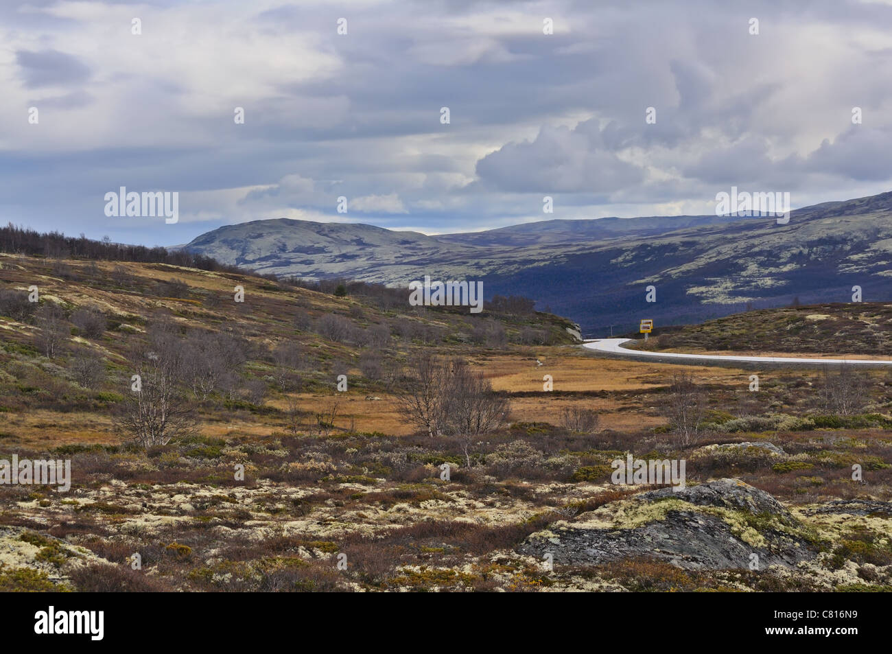 Alpine Landschaft in Süd-Norwegen. Dovre-Nationalpark Stockfoto