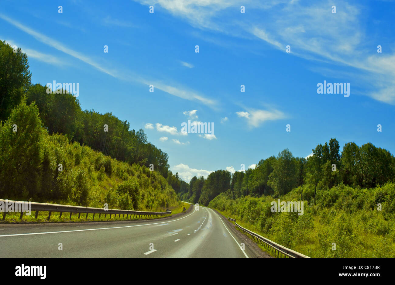 schnellen Autobahn im Wald unter klaren blauen Himmel Stockfoto