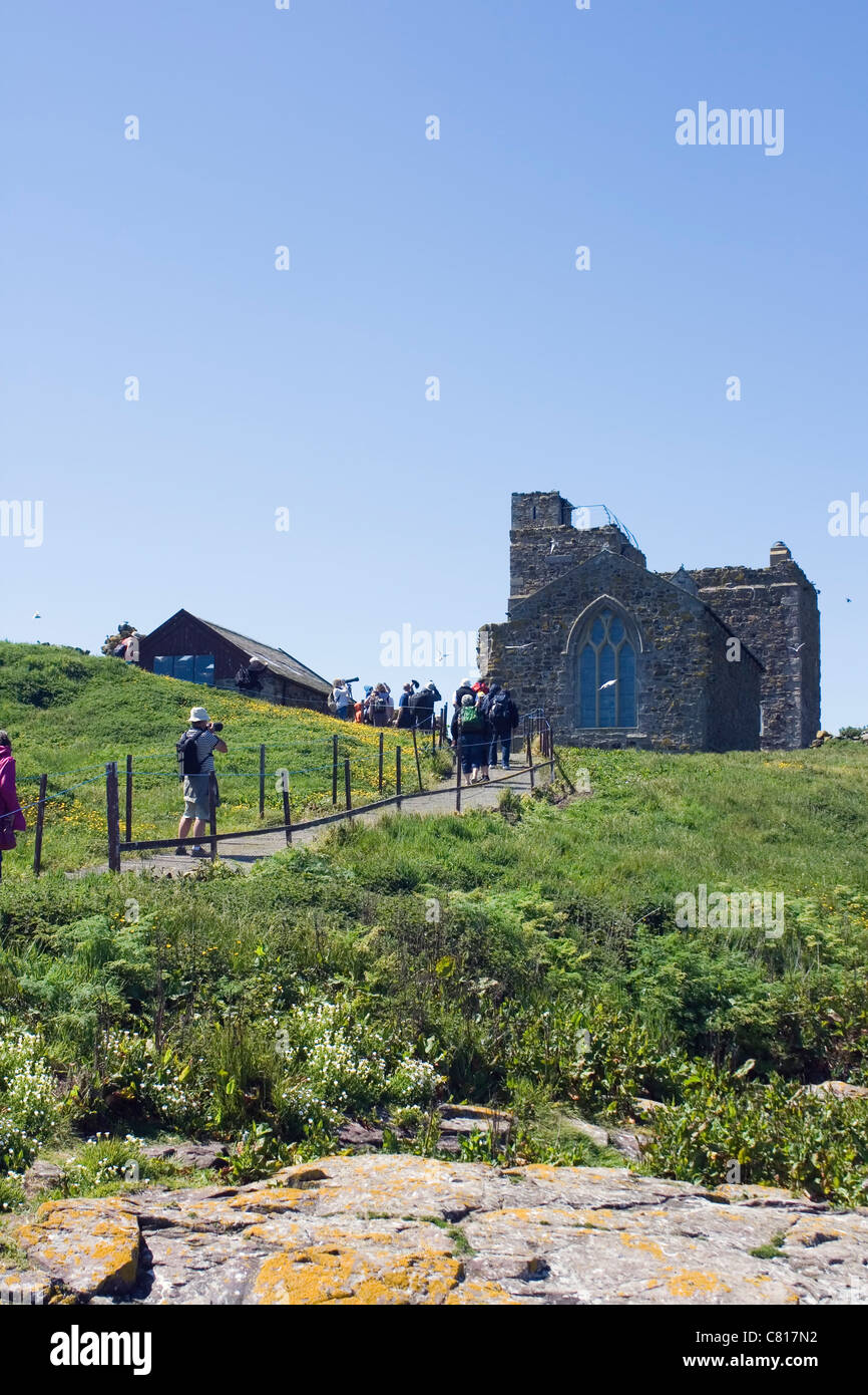 Besucher auf Inner Farne, Kapelle St. Cuthbert im Hintergrund, Farne Islands Küste von Northumberland, England. Stockfoto