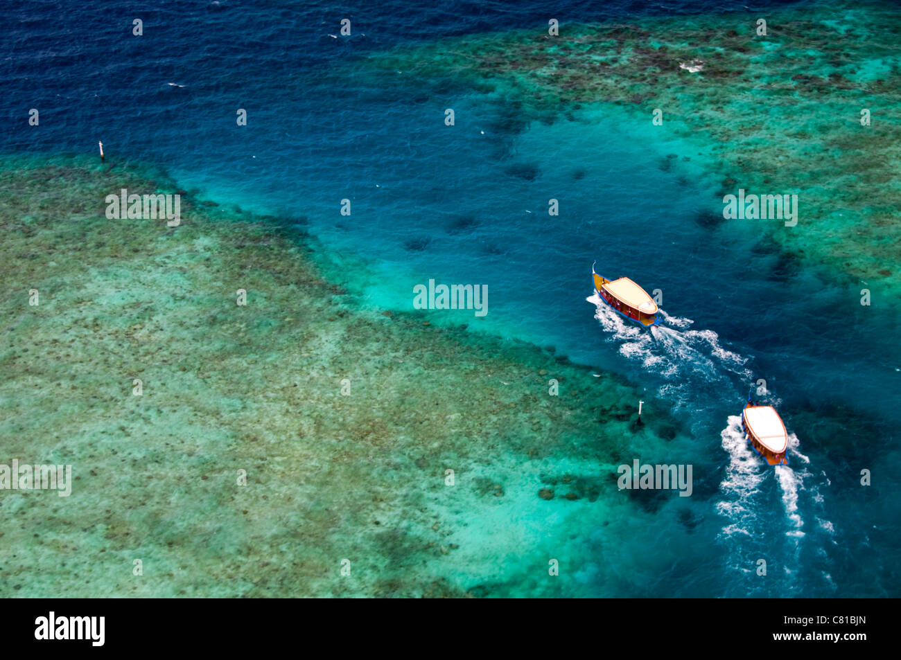 Luftaufnahme der Malediven-Inseln, Strände, Paradies, Korallenriff, Abenteuer, Urlaub, tropische Insel, Blauwasser, klares Wasser Stockfoto
