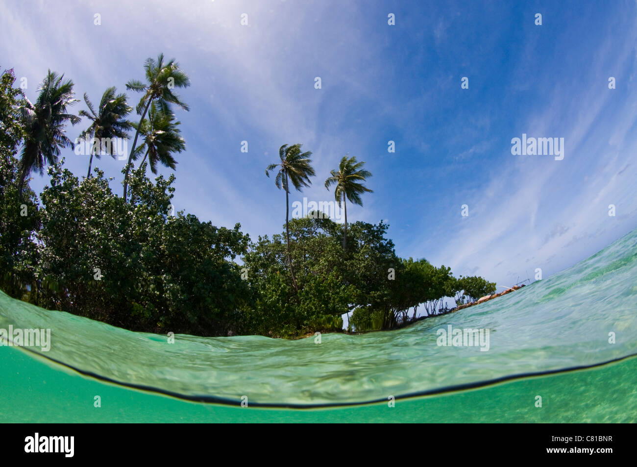 Malediven, Unterwasser Meer Leben und Fisch, Tropeninsel, Split, Fotosub, Korallenriff, Paradies, Oberfläche, Atoll, Sommer, Urlaub, Stockfoto