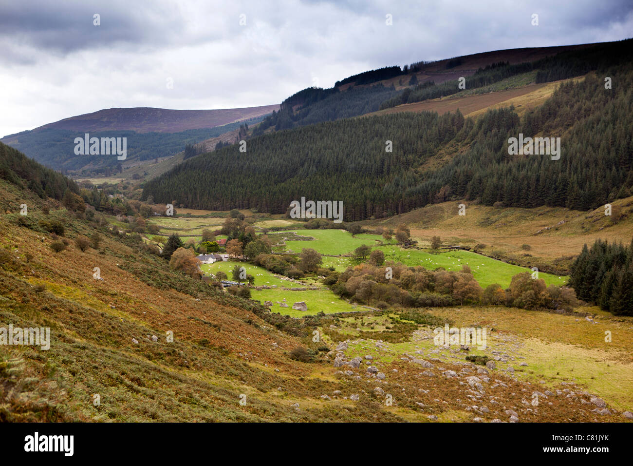 Irland, Co. Wicklow, Glenmacnass, abgelegenen Bauernhof im Tal Stockfoto