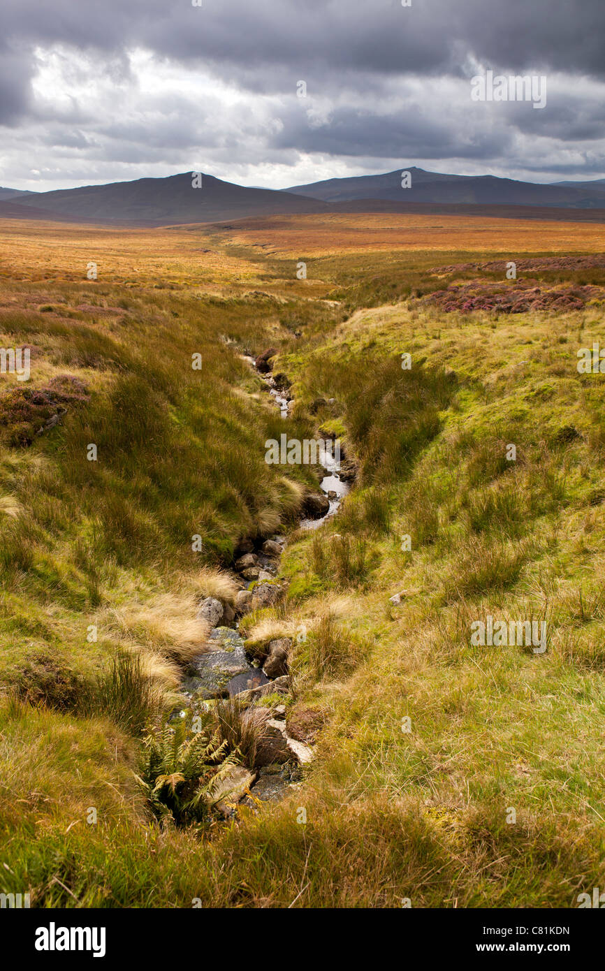 Irland, Co. Wicklow, Sally Gap Bergpass Stockfoto Irland, Co. Wicklow, Sally Gap Bergpass Stockfoto