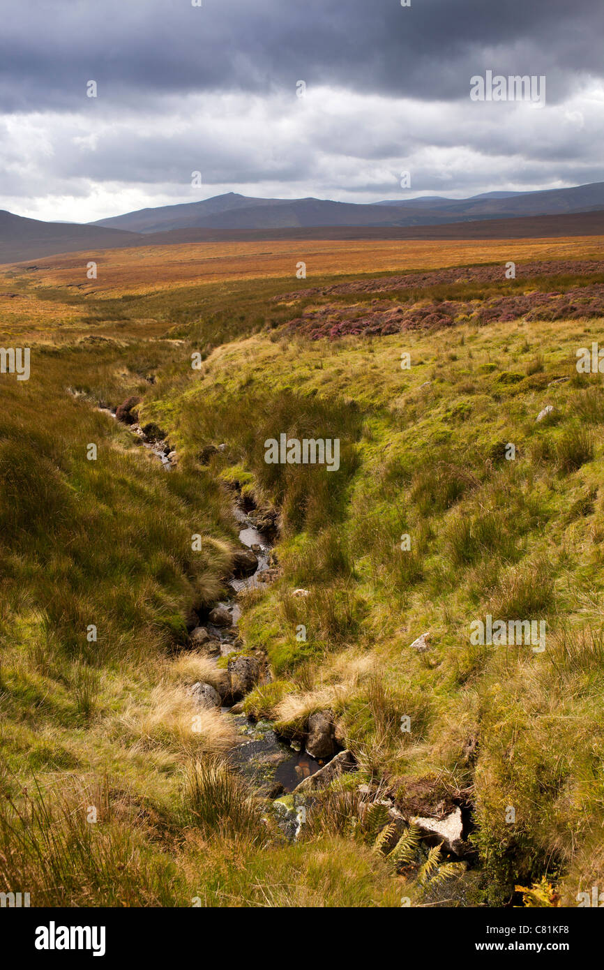 Irland, Co. Wicklow, Sally Gap Bergpass Stockfoto Irland, Co. Wicklow, Sally Gap Bergpass Stockfoto