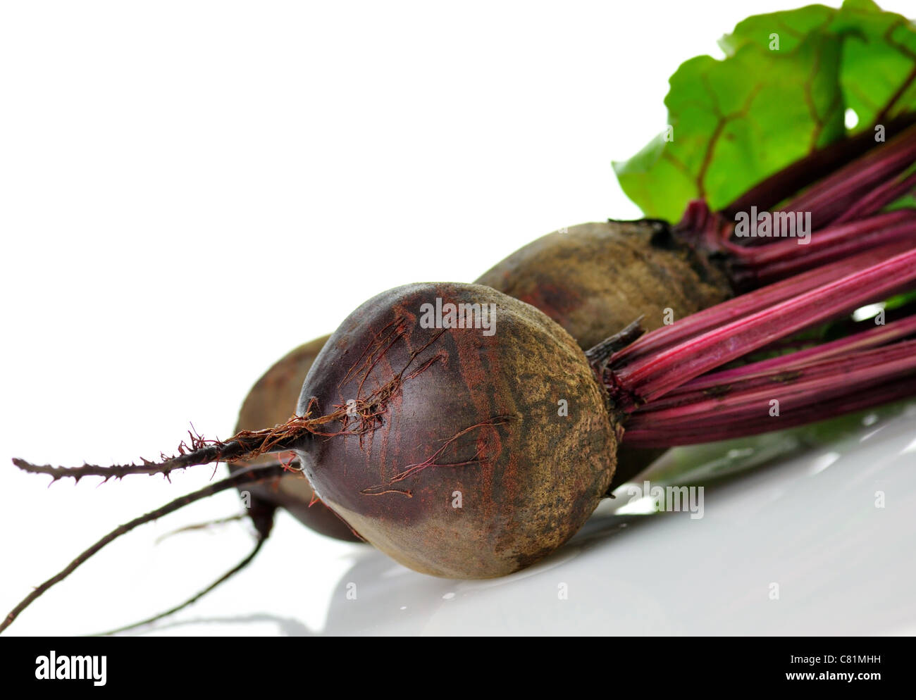 frischen Rüben Wurzeln mit Blättern auf weißem Hintergrund Stockfoto