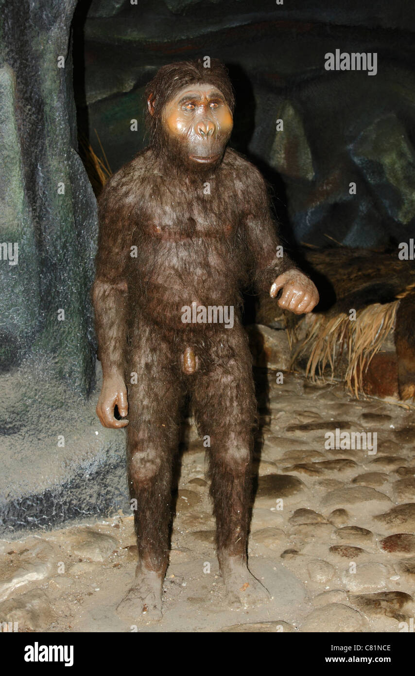 Australopithecus Afarensis Hominiden Männermodel in Leba Park (prähistorische Freizeitpark), Polen Stockfoto