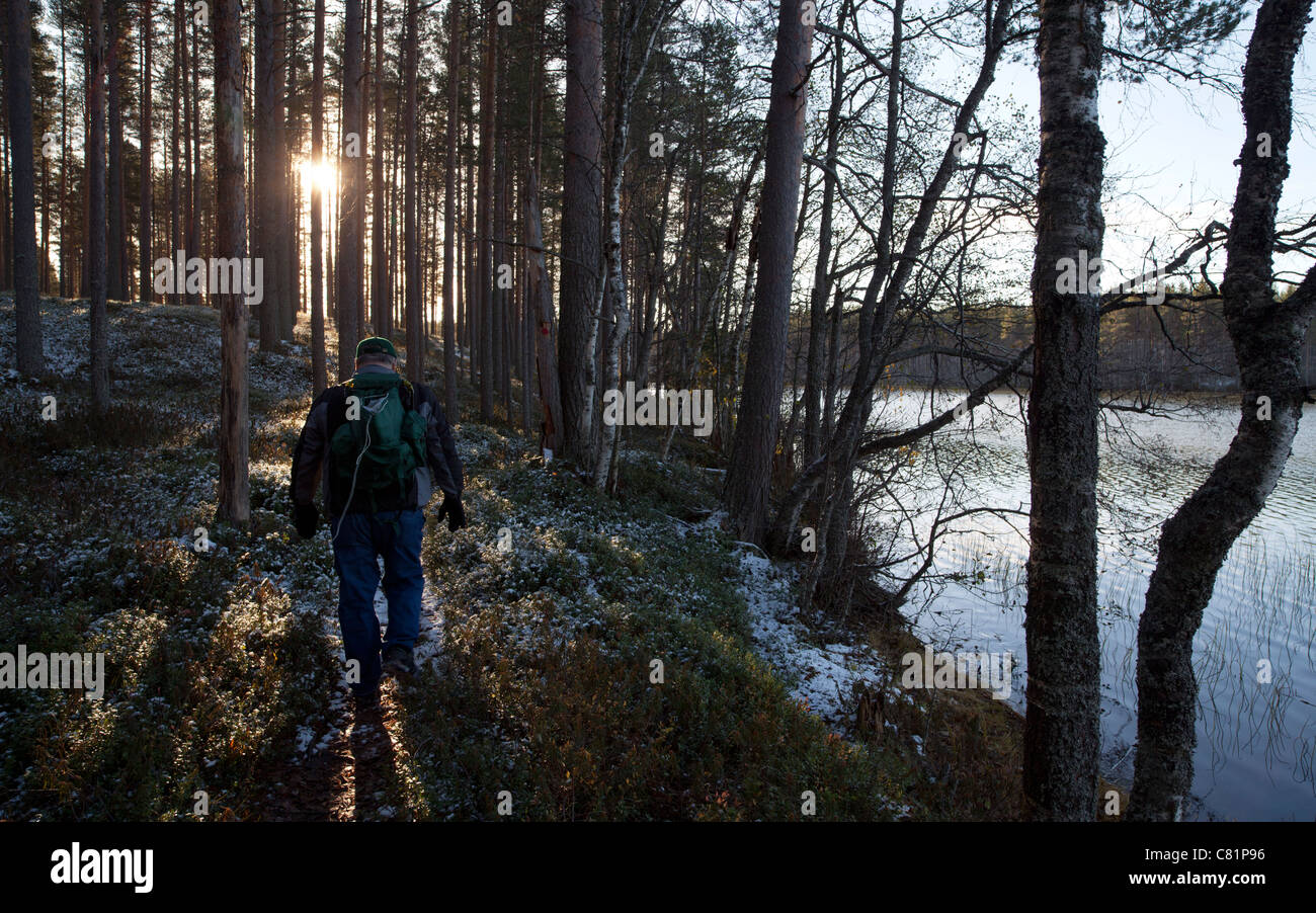Alter Mann beim Wandern im Taiga-Wald, Finnland Stockfoto