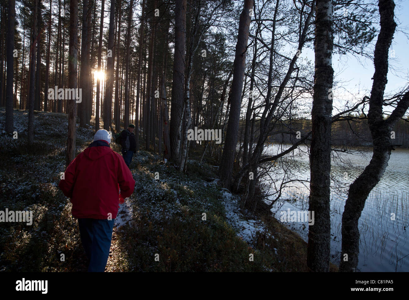 Älteres Ehepaar Wandern im Wald, Finnland Stockfoto
