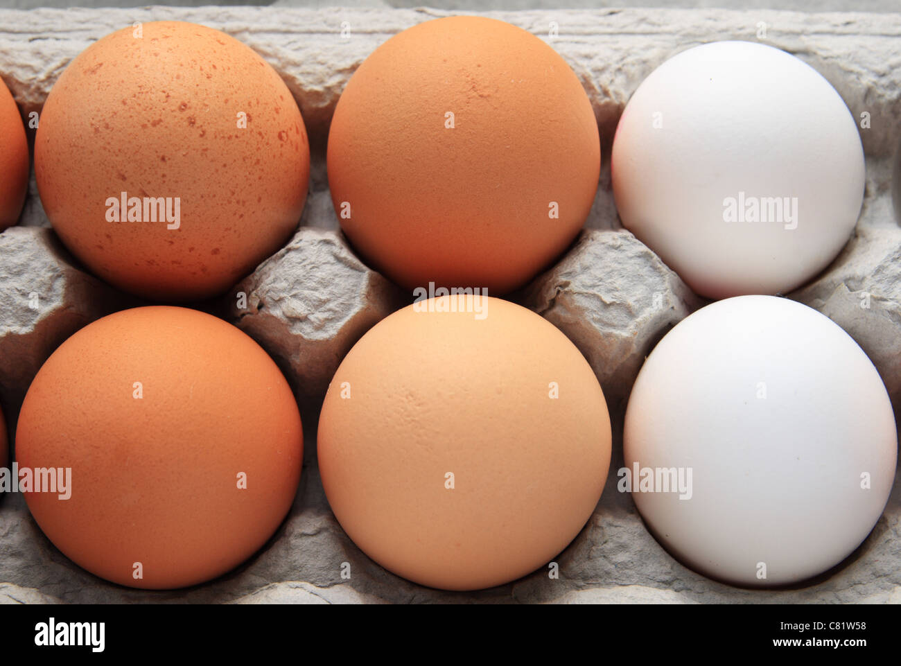 braunen und weißen Eiern in eine graue Eierkarton Stockfoto