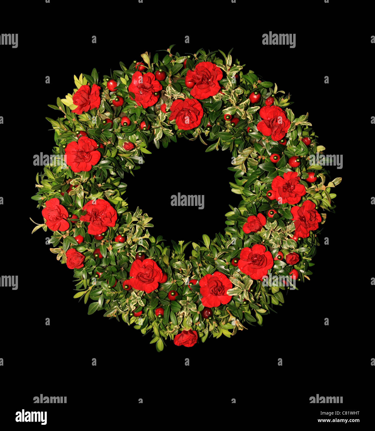 rote Nelke, Buchsbaum und Cranberry Christmas Blumenkranz auf schwarzem Hintergrund Stockfoto
