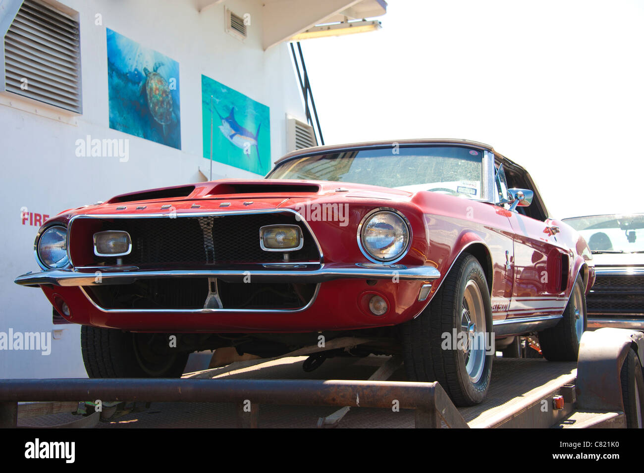 1967 Ford Mustang GT500 Shelby Stockfoto