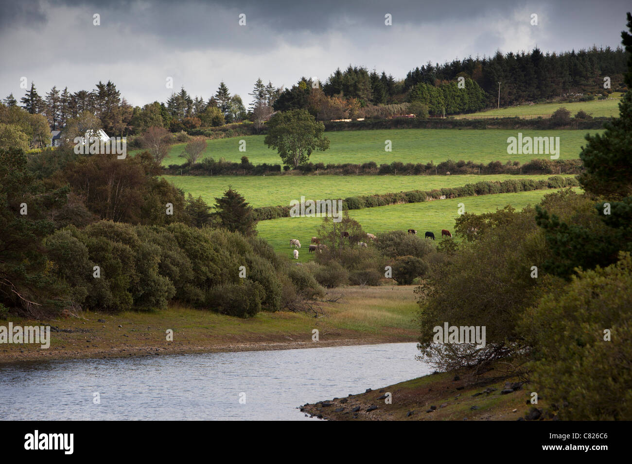 Irland, Co. Wicklow, Rundholz, Bauernhof am Ufer des Stausees Vartry, Dublins Wasserversorgung Stockfoto