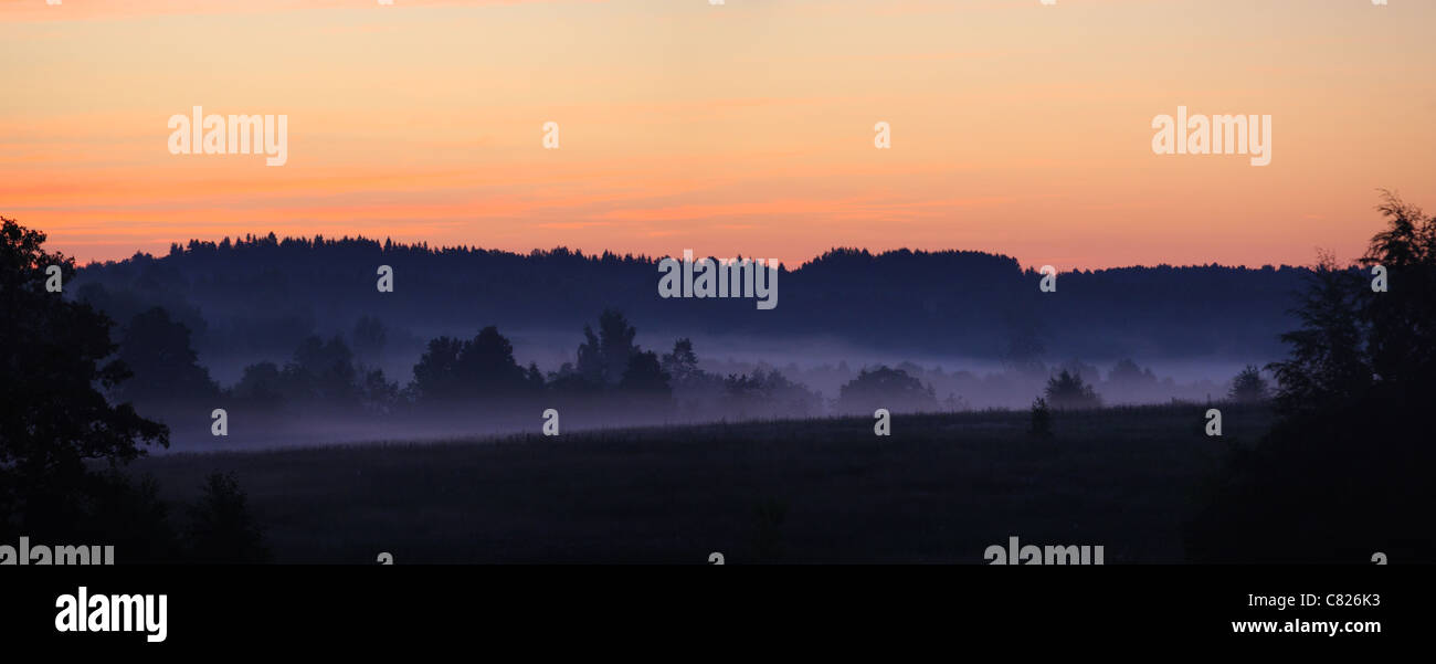 Am frühen Morgen Landschaft mit Nebel, vor Sonnenaufgang. Estland, Europa Stockfoto