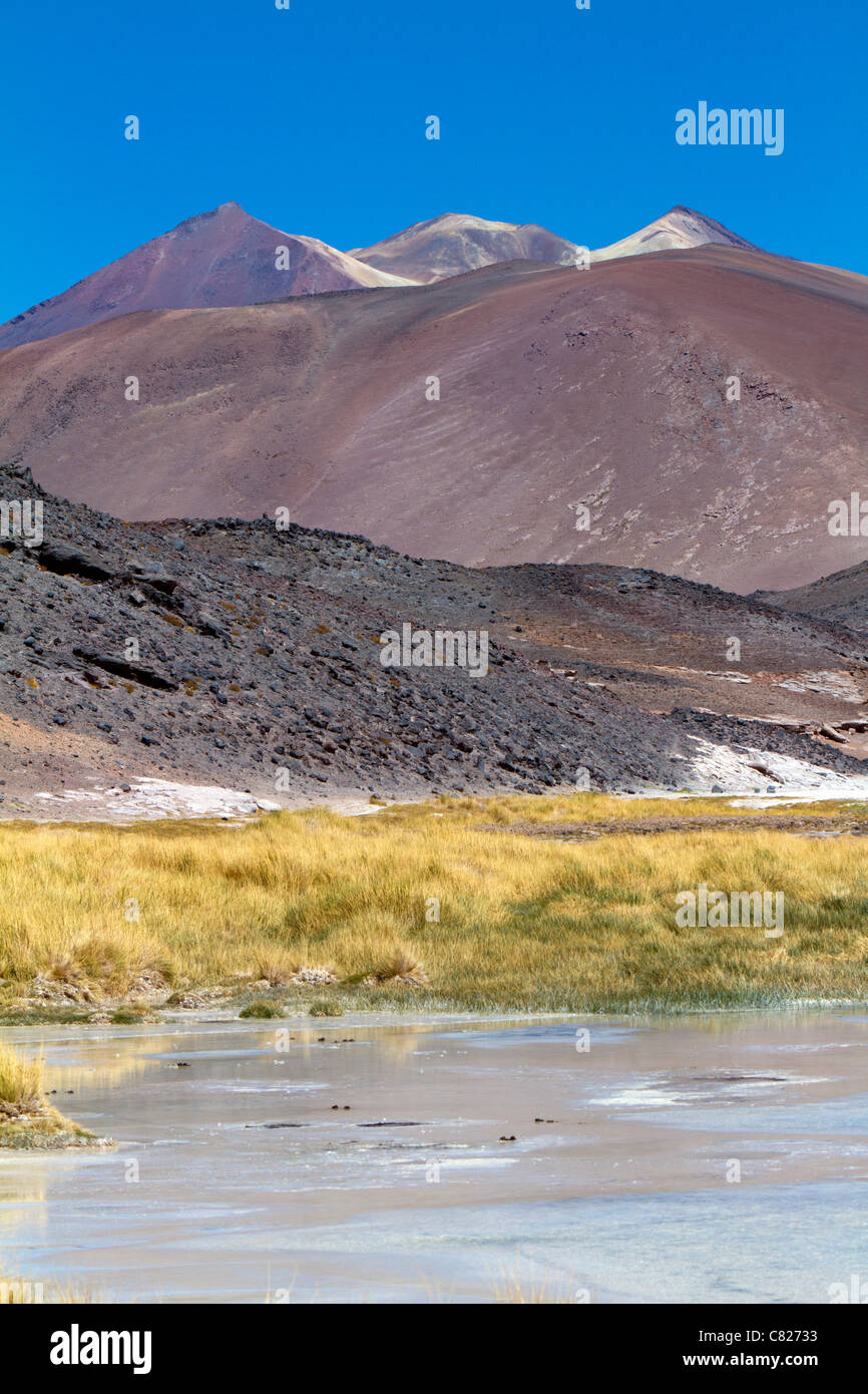 Die Fernbedienung Aguas Calientes, Atacamawüste, Chile Stockfoto