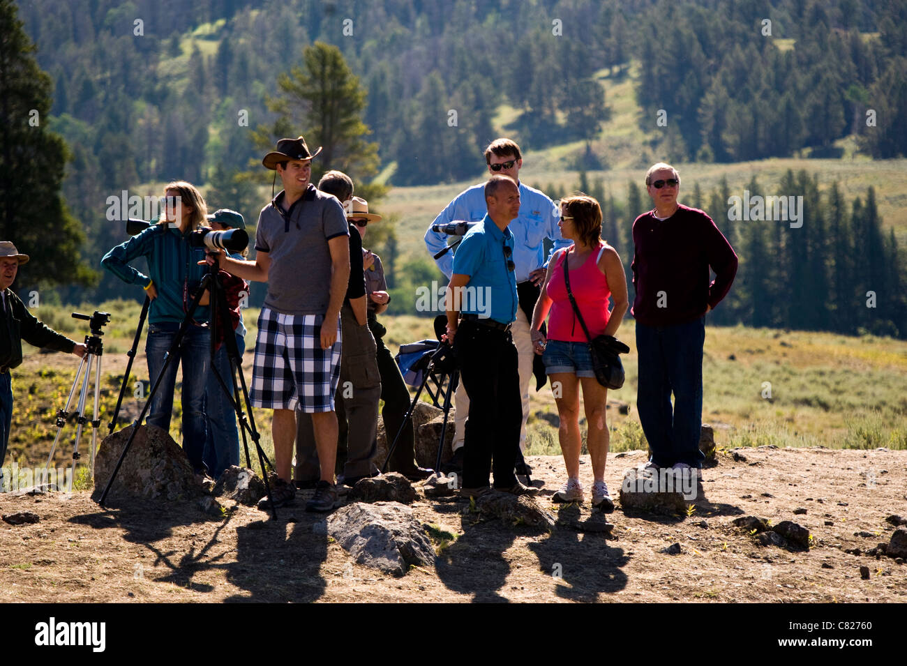Gruppe von Fotografen im Yellowstone National Park in Wyoming USA Stockfoto