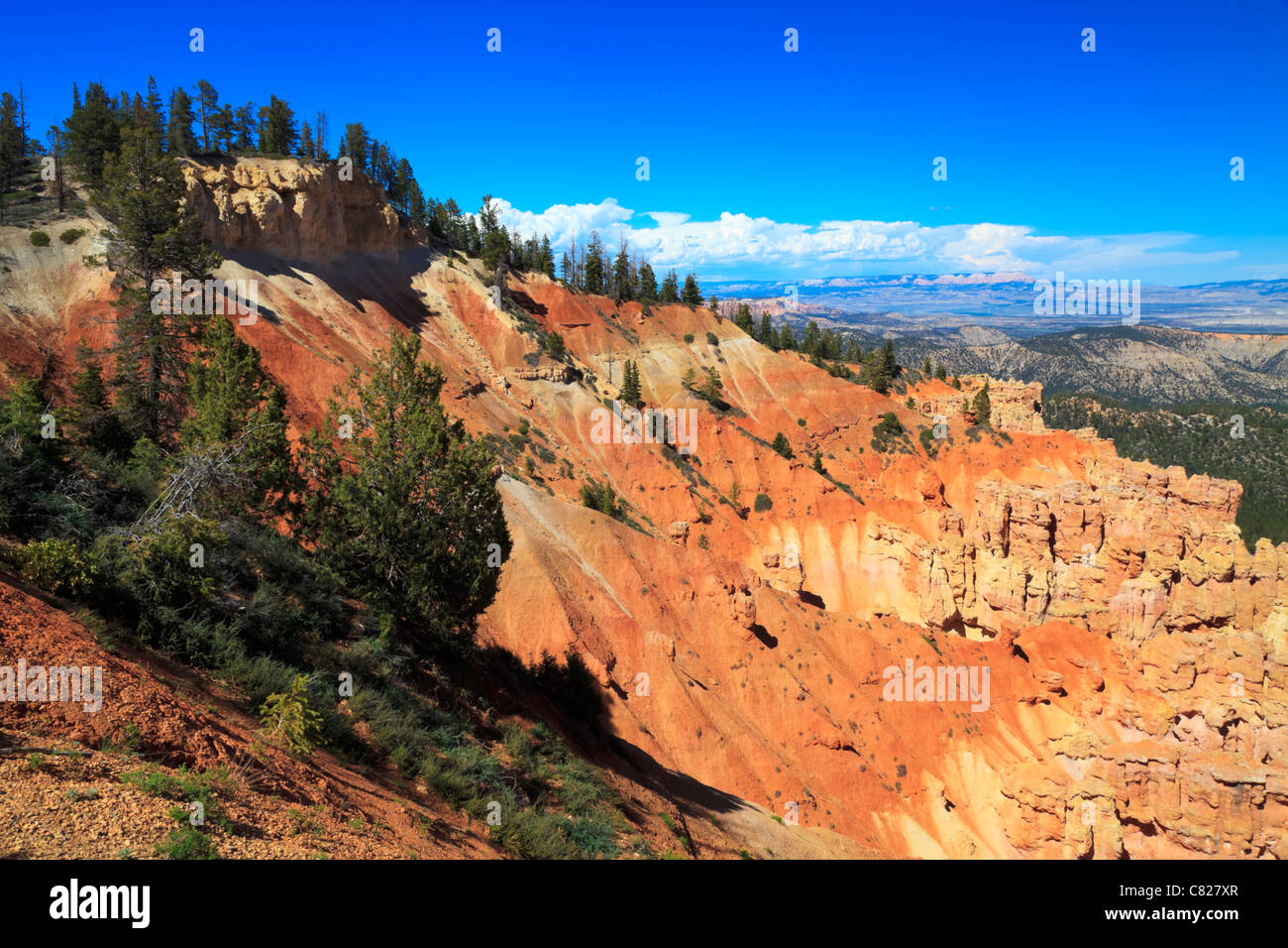 Bryce Canyon National Park Utah USA Agua Canyon Stockfoto