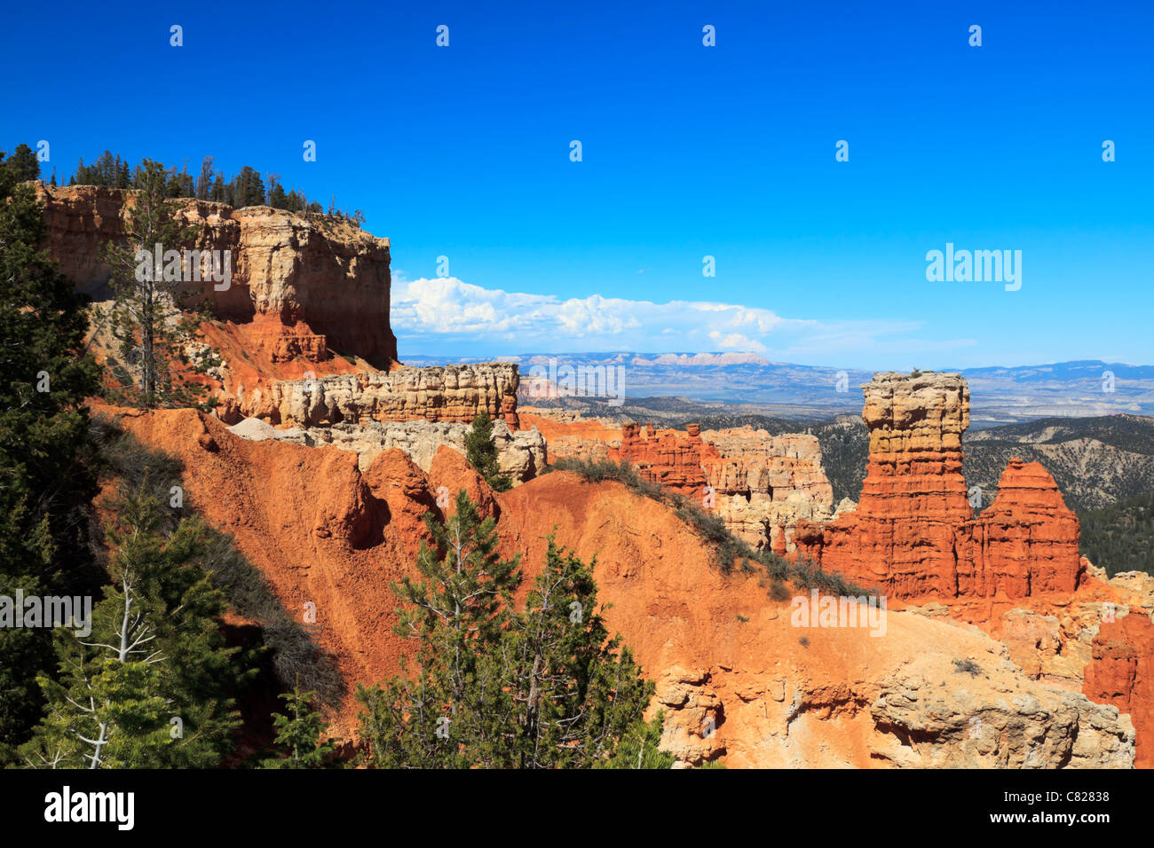 Bryce Canyon National Park Utah USA Agua Canyon Stockfoto