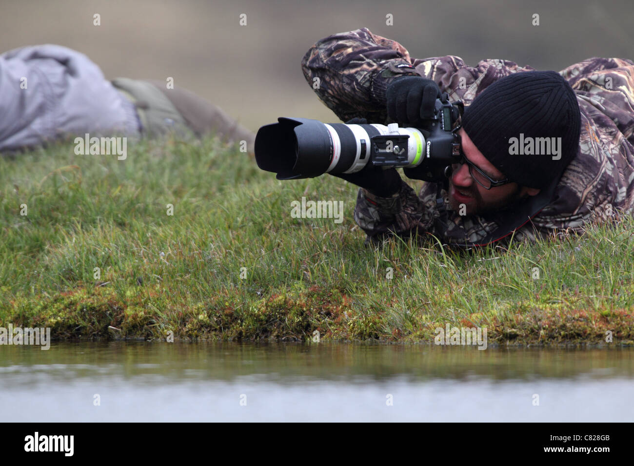 Naturfotograf mit niedrigen Winkel um zu fotografieren des Vogels. Stockfoto