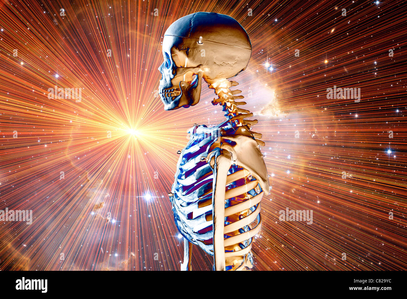 computergenerierte menschliches Skelett und explodierenden Galaxie Stockfoto