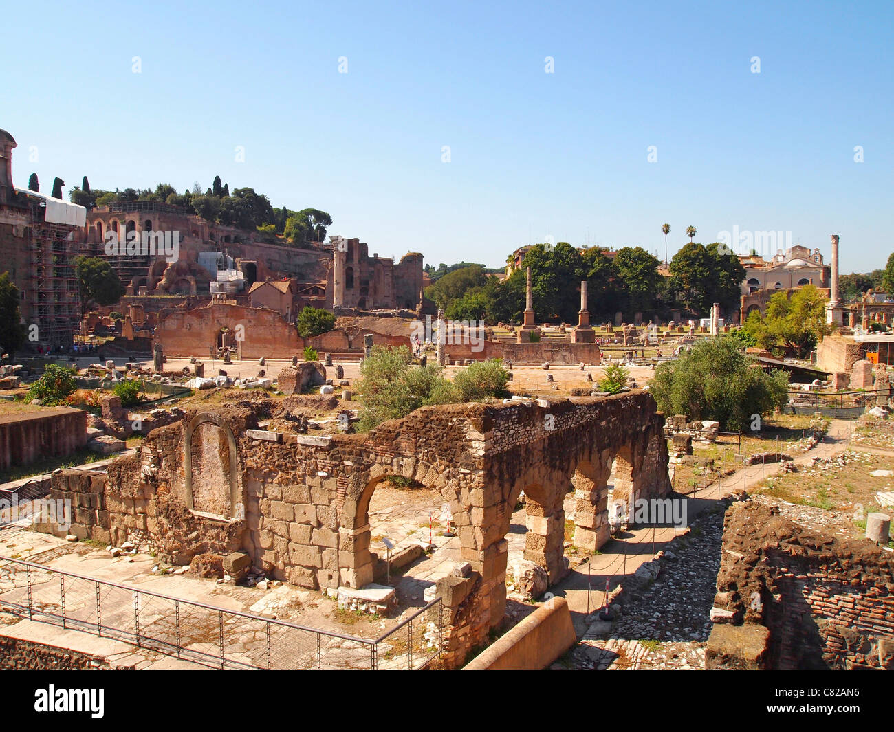 Das Forum, Rom, Italien, Europa Stockfoto