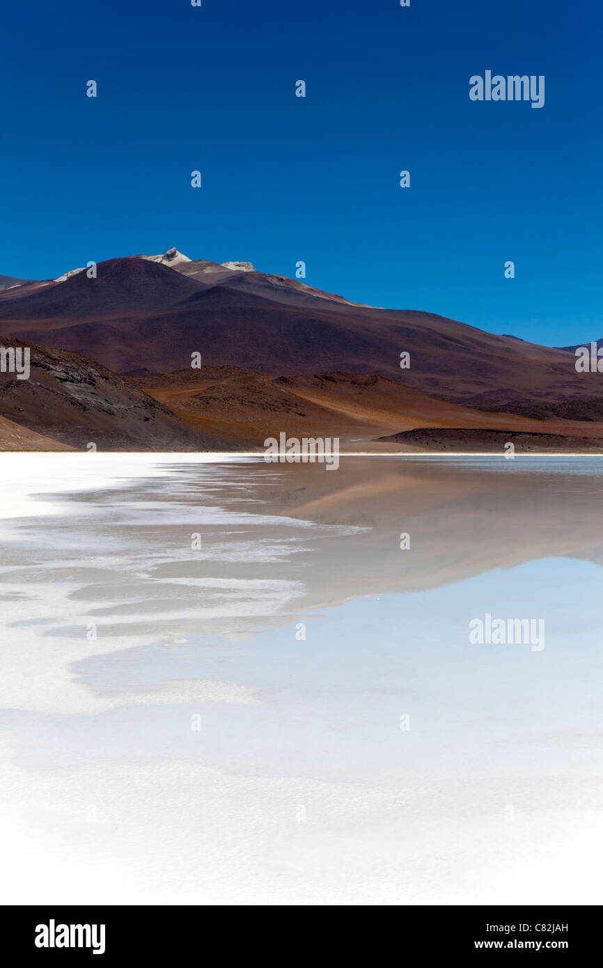 Reflexionen an der Laguna Tuyacto, Atacamawüste, Chile Stockfoto