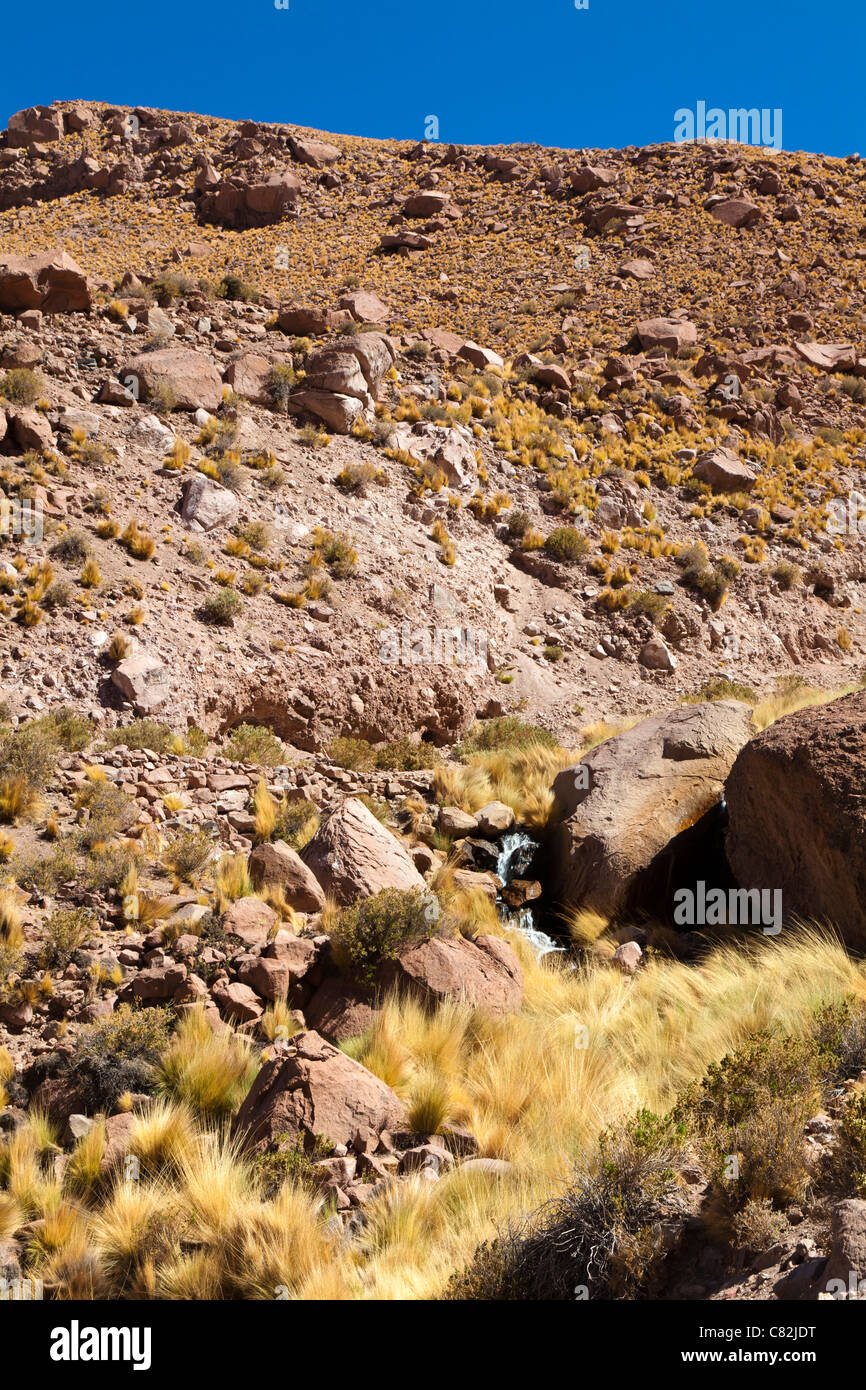 Kleiner Wasserfall im Rio Grande Valley, Atacamawüste, Chile Stockfoto