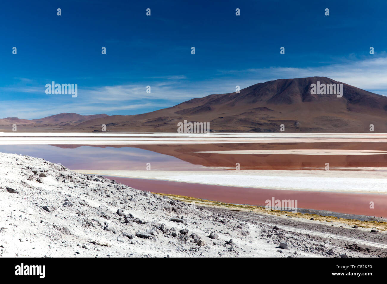 Die beeindruckende Laguna Colorada (rote Lagune) in den bolivianischen Altiplano Stockfoto