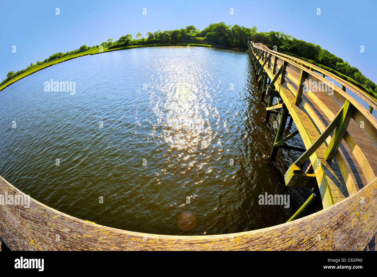 Holzsteg ragt in Sumpfland Bucht, aufgenommen mit 180 Grad Fische Augenlinse, NY, USA Stockfoto