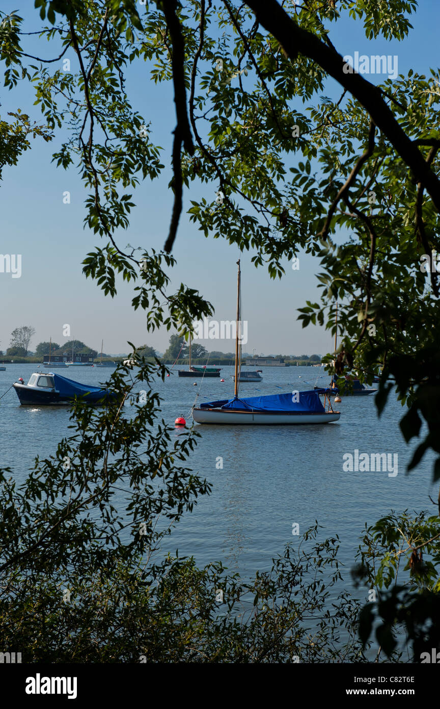 Boote für den Winter am Oulton Broad aufgelegt Stockfoto