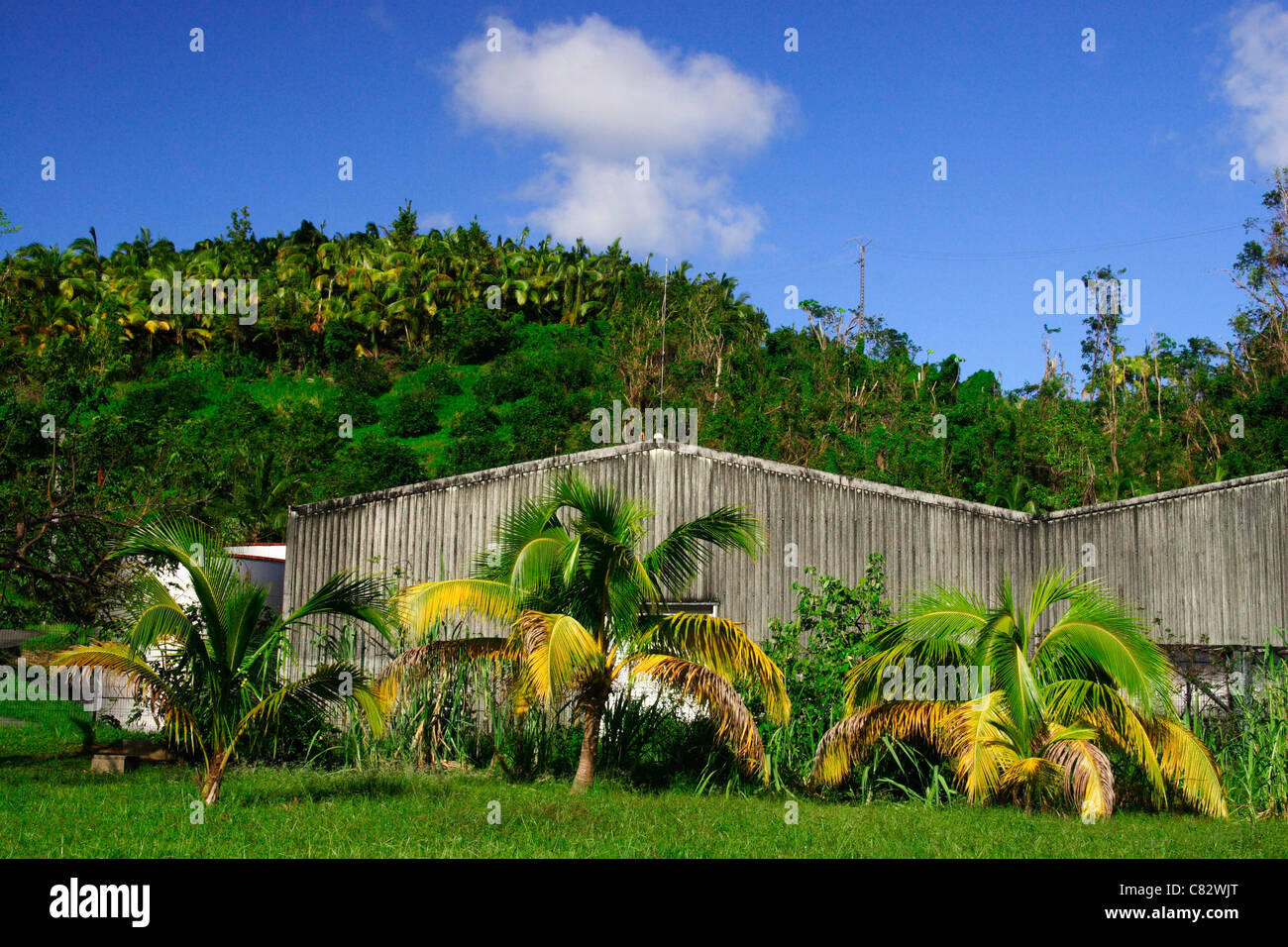 Ein rum-Brennerei auf einer karibischen Insel Martinique. Stockfoto