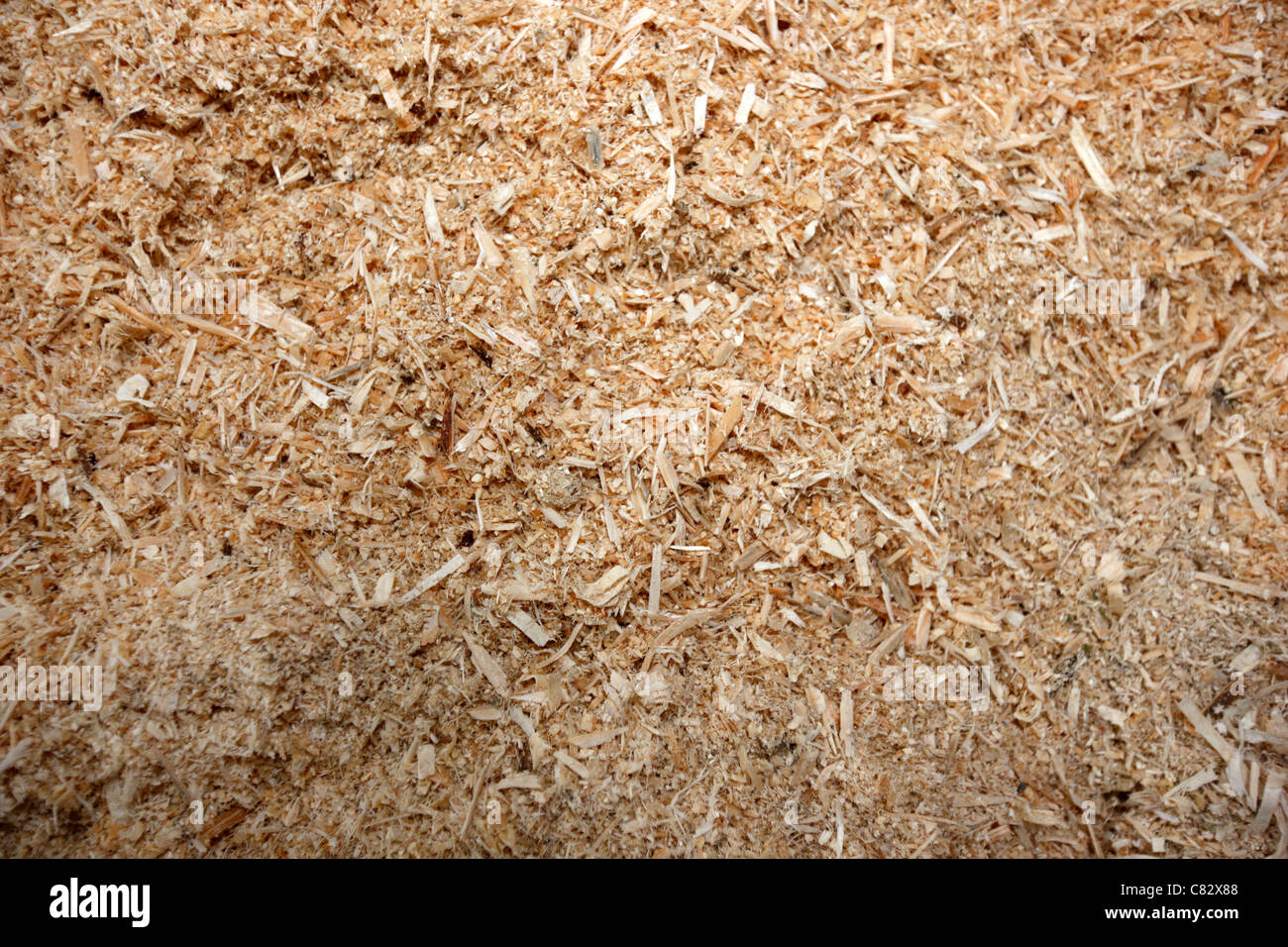 Herstellung von Holzpellets. Eine Art von Holz als Brennstoff. Sägemehl wird zu Pellets hergestellt. Im Kessel von Zentralheizungen verwendet. Stockfoto