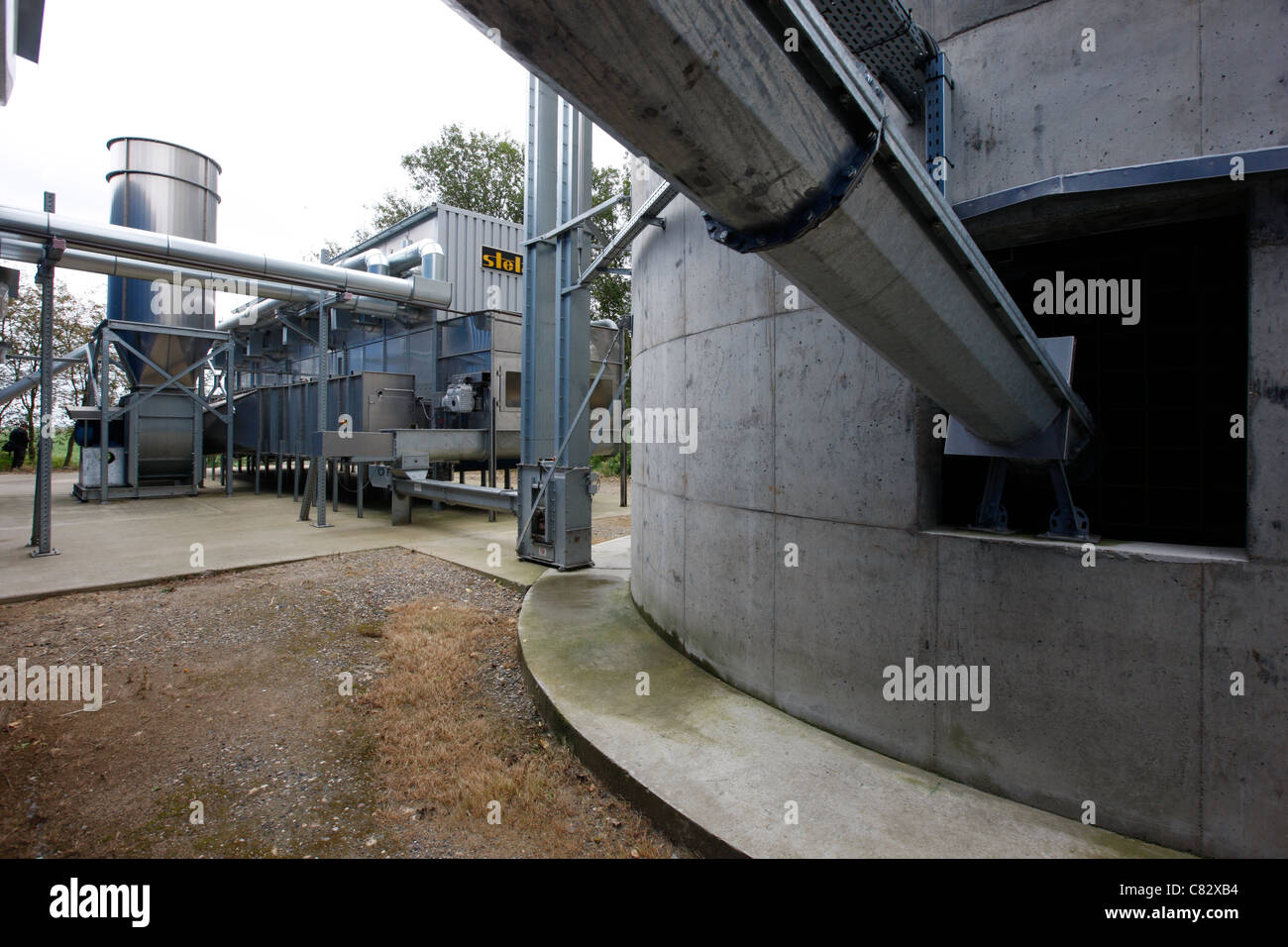 Herstellung von Holzpellets. Eine Art von Holz als Brennstoff. Sägemehl wird zu Pellets hergestellt. Im Kessel von Zentralheizungen verwendet. Stockfoto