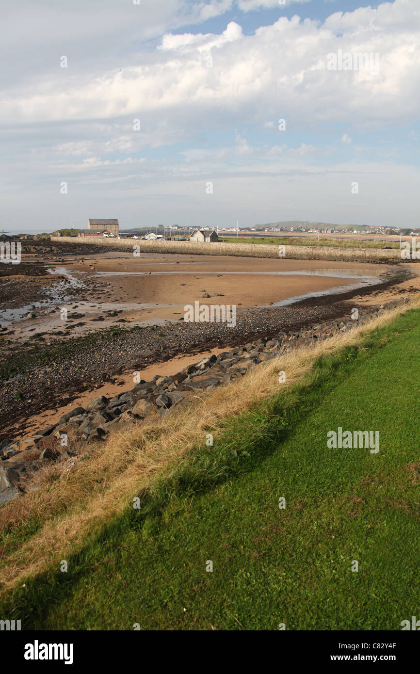 Stadt von Elie, Schottland. Malerische Aussicht von Elie Strand bei Ebbe mit Elie Hafen im Hintergrund. Stockfoto