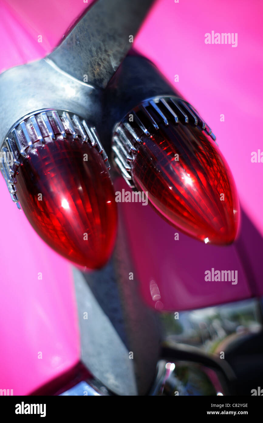 Detail einer Schwanzflosse eine rosa cadilac Stockfoto