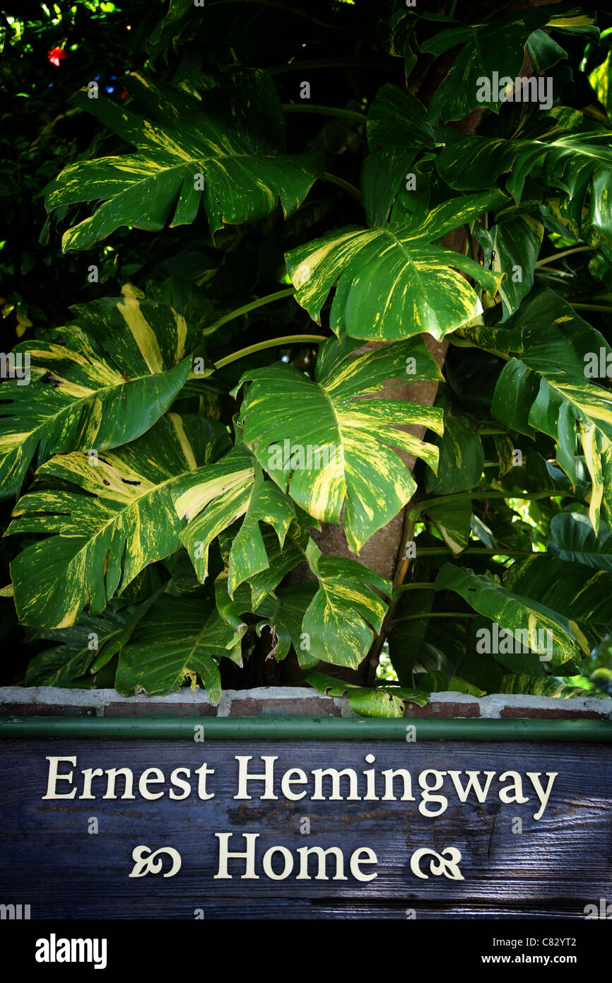 Ernest Hemingway Haus in Key West, Florida, USA Stockfoto