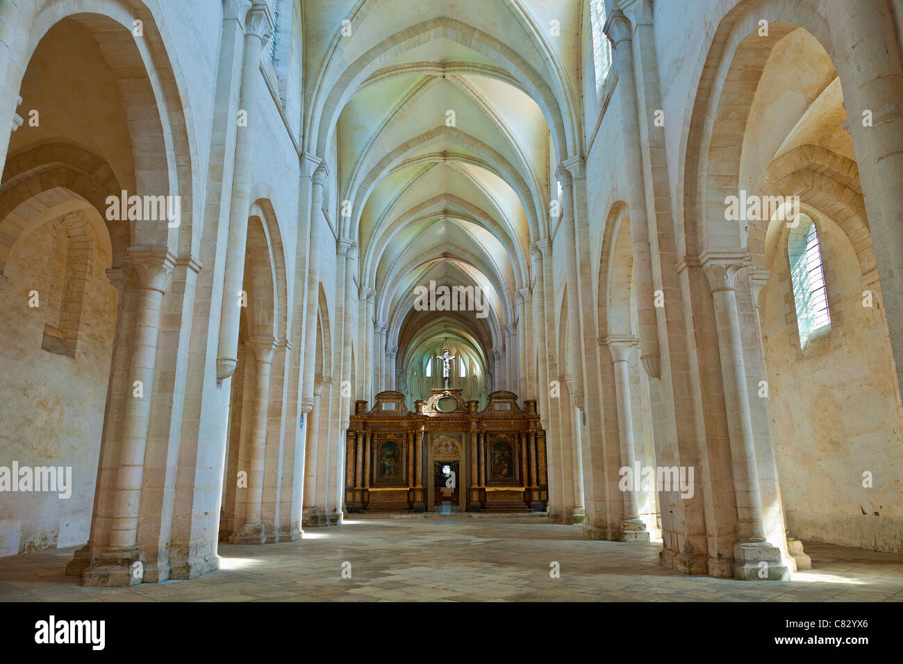 Europa, Frankreich, Yonne (89), Pontigny Abtei, das Kirchenschiff Stockfoto