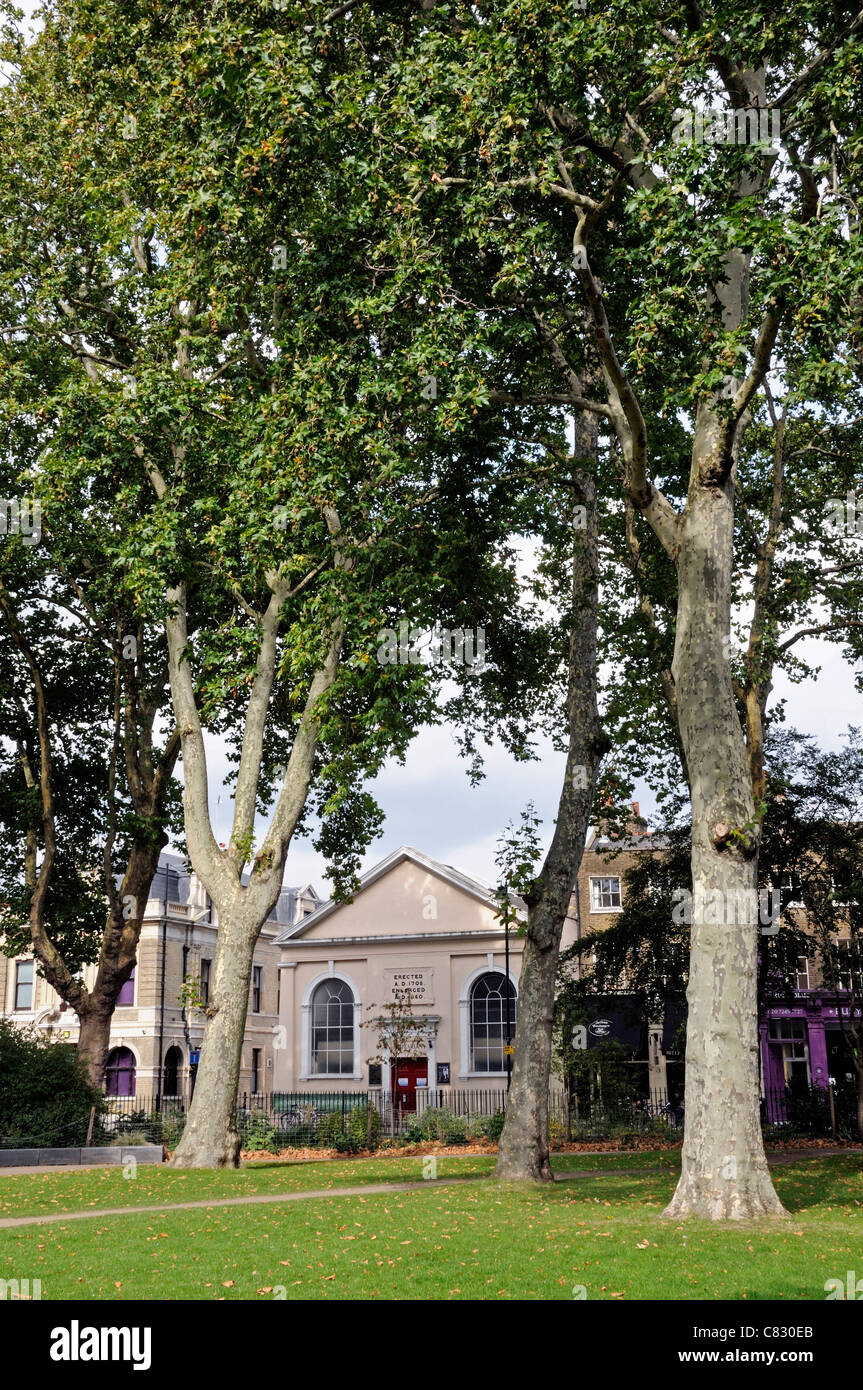 Newington Green mit der Unitarian Kirche in der Ferne und Platanen in Forground, London Borough of Hackney England UK Stockfoto