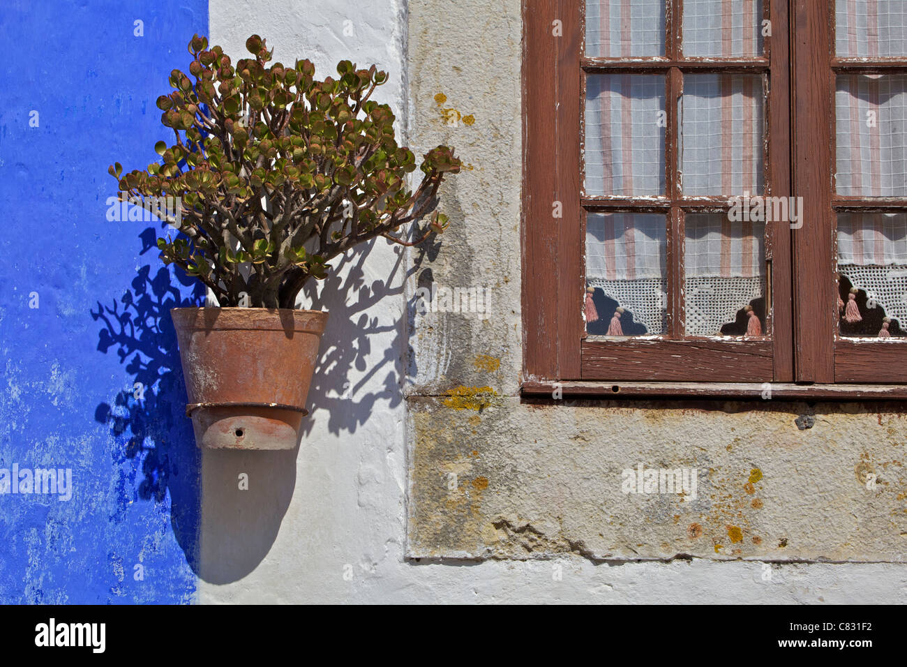 Braune rustikale Holz Fenster an einer weiß getünchten Putz blau-weiße Wand mit einer Topfpflanze Stockfoto