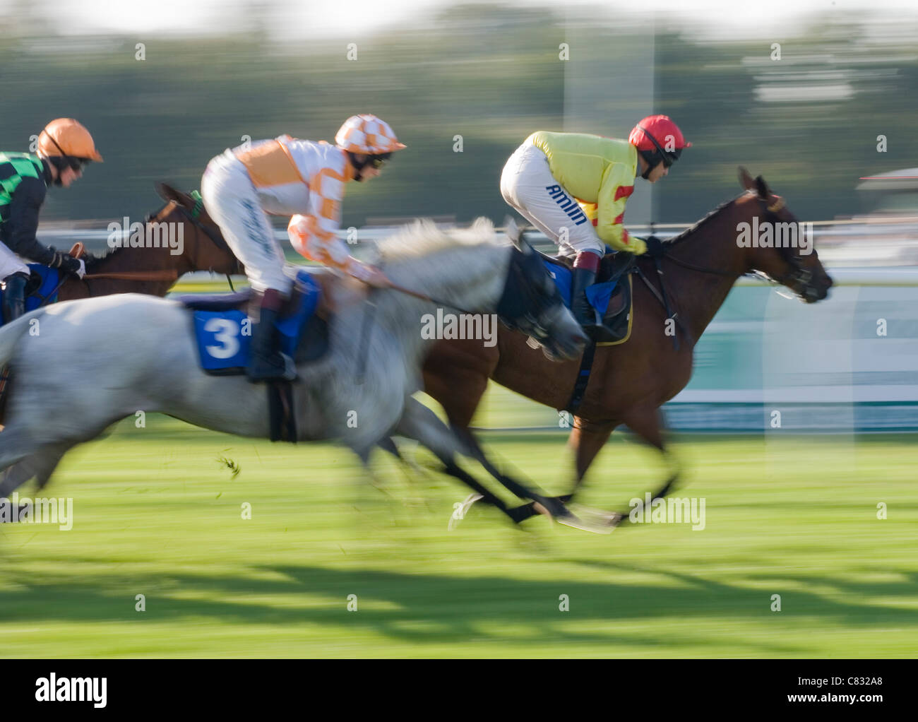Pferderennen Sie-Gruppe von Pferden racing UK Stockfoto