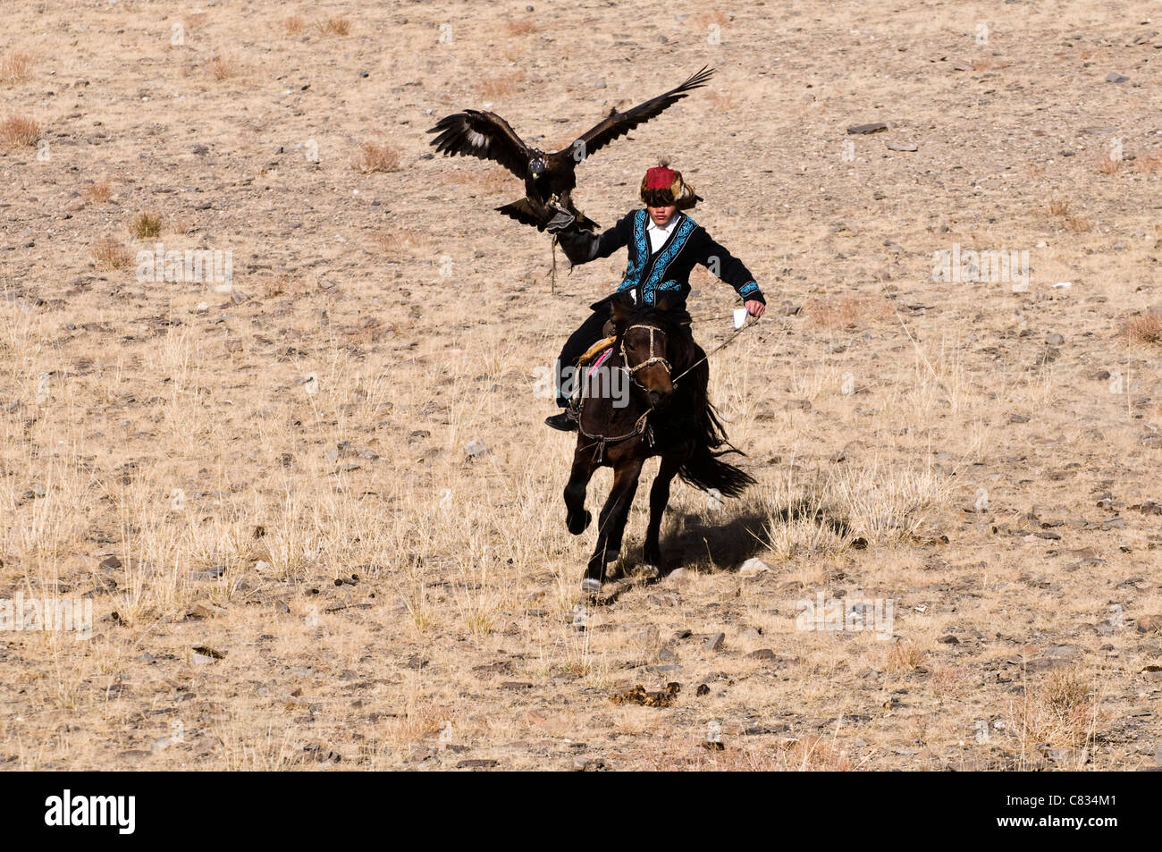 Kasachische Adler Jäger mit seinem Steinadler. Stockfoto