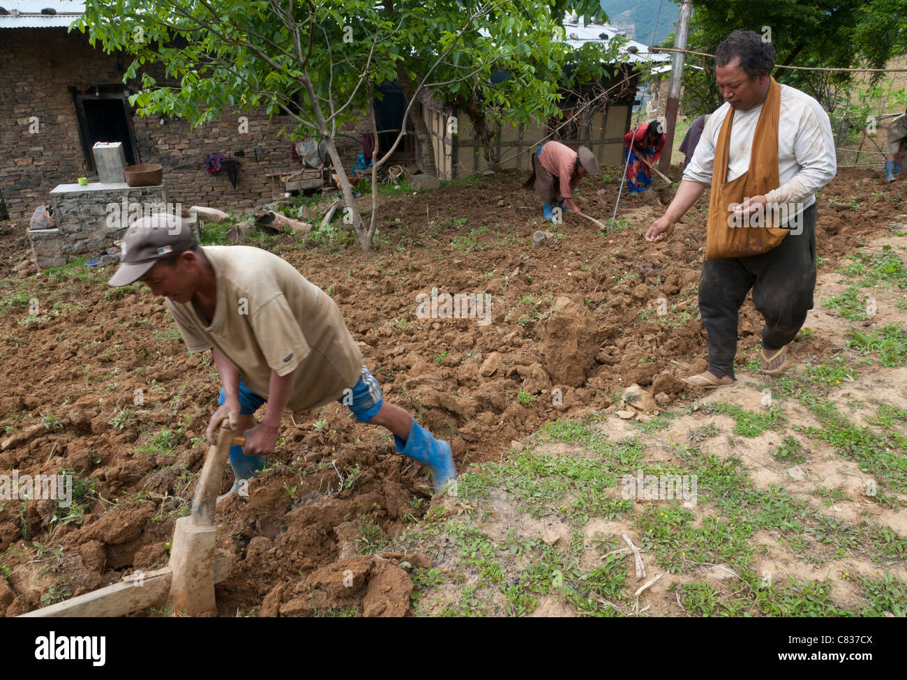 Landwirte, die Aussaat von Mais. Radi. Ost bhutan Stockfoto