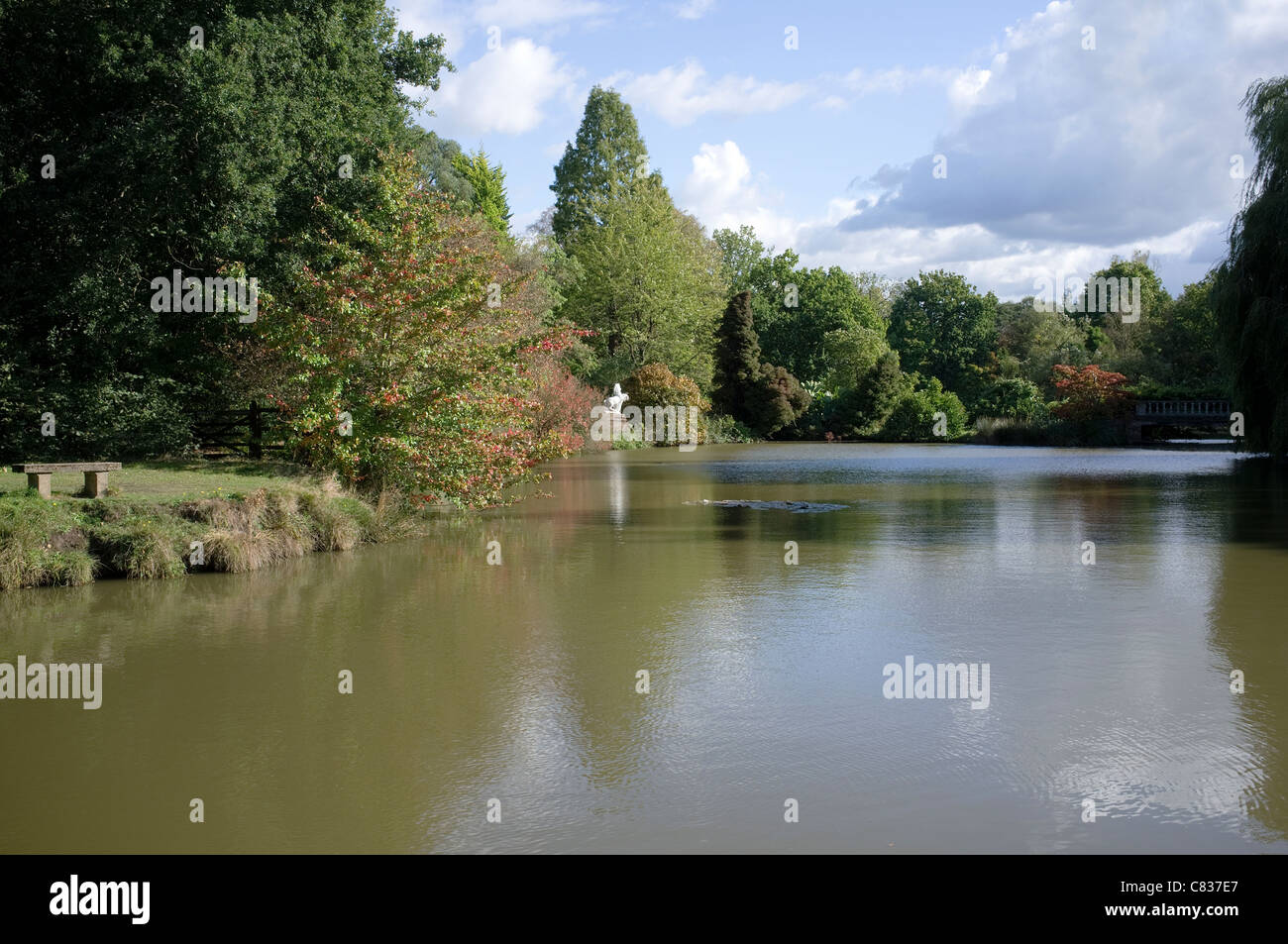 Reflexionen See Windlesham Arboretum-2 Stockfoto