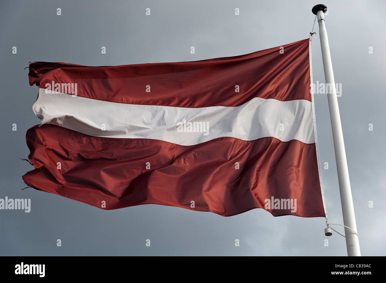 Lettland-Flagge im Wind. Stockfoto