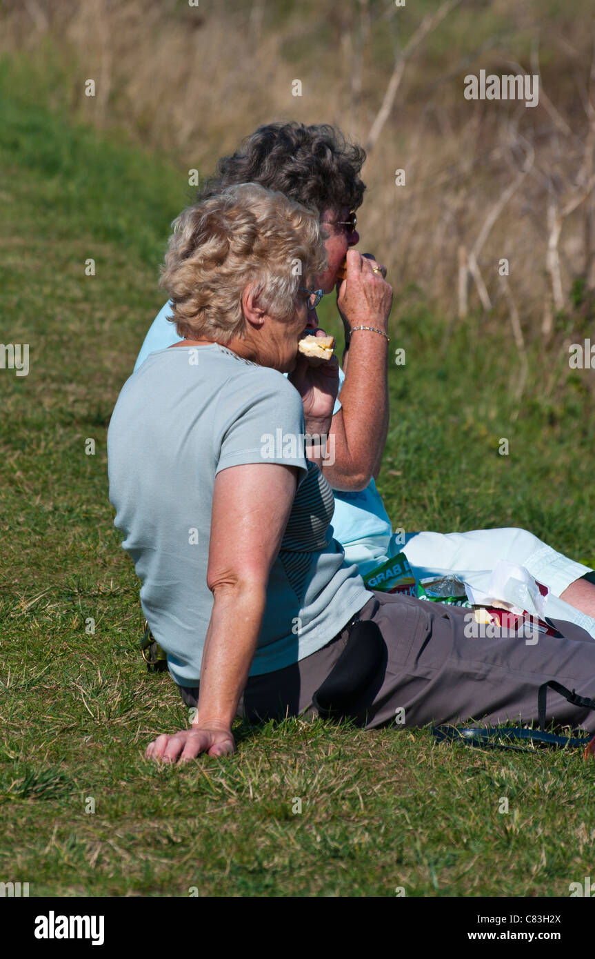 Hintere Ansicht der 2 ältere Frauen Menschen Sitting On The Grass In der Sonne Sommersonne genießen ein Picknick Stockfoto