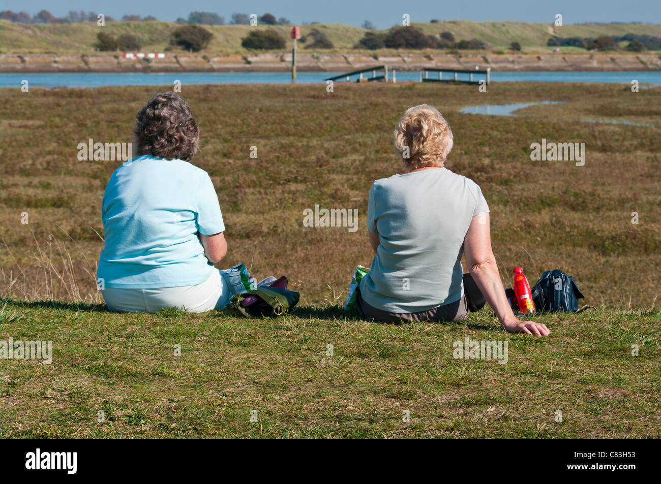 Hintere Ansicht der 2 ältere Frauen Menschen Sitting On The Grass In der Sonne Sommersonne genießen ein Picknick Stockfoto
