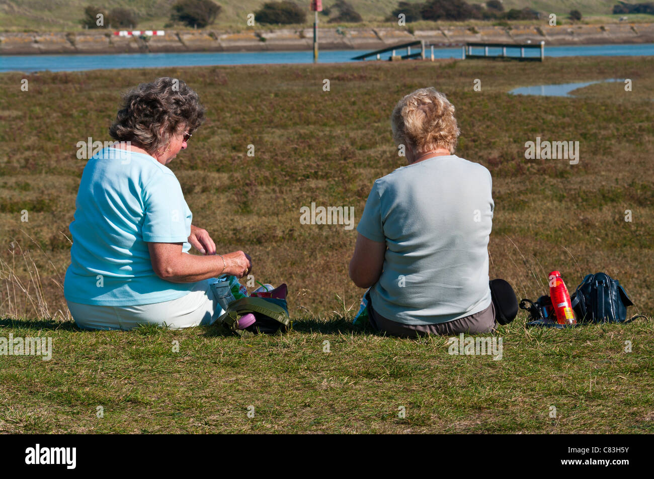 Hintere Ansicht der 2 ältere Frauen Menschen Sitting On The Grass In der Sonne Sommersonne genießen ein Picknick Stockfoto