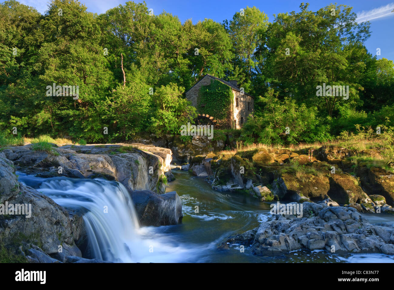 Cenarth Wasserfälle Carmarthenshire Wales Stockfoto