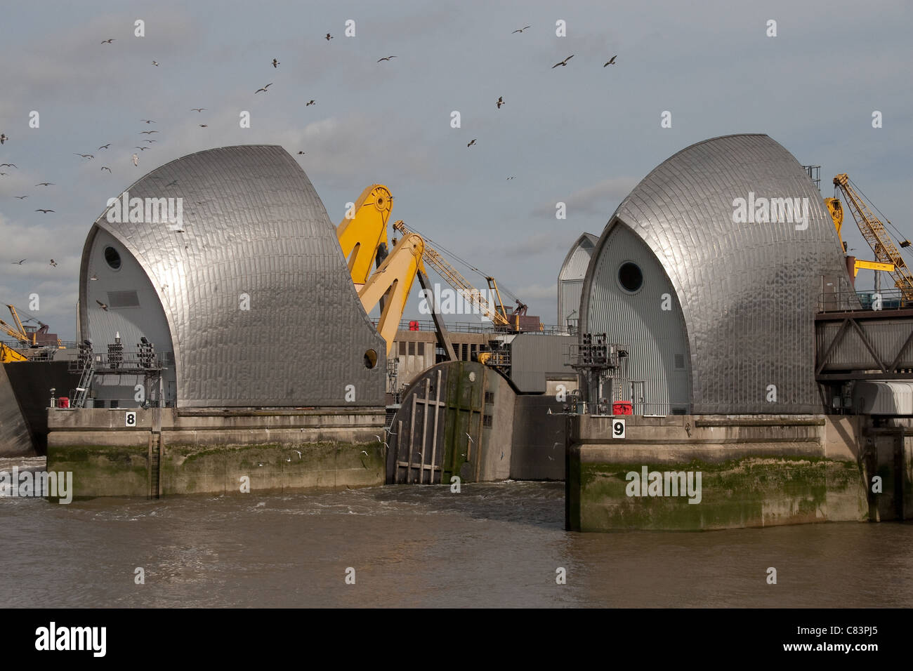 Thames Barrier jährliche Prüfung der Flut Verteidigungsminister gates Stockfoto