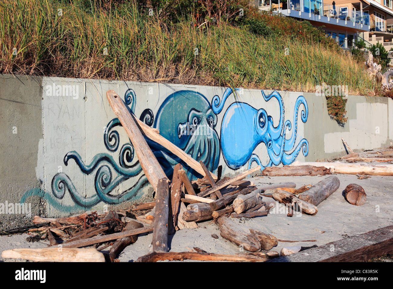 Tintenfisch oder Tintenfisch Graffiti auf einem Deich am Strand Stockfoto