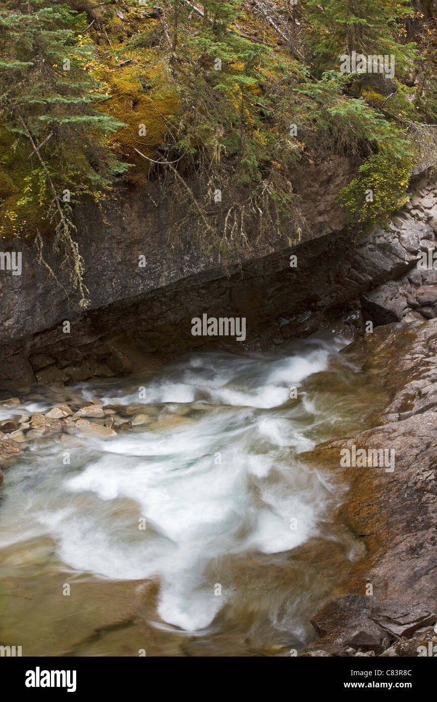 Wand des Canyon und fließenden Fluss, Johnston Canyon, Banff National Park. Alberta, Kanada Stockfoto